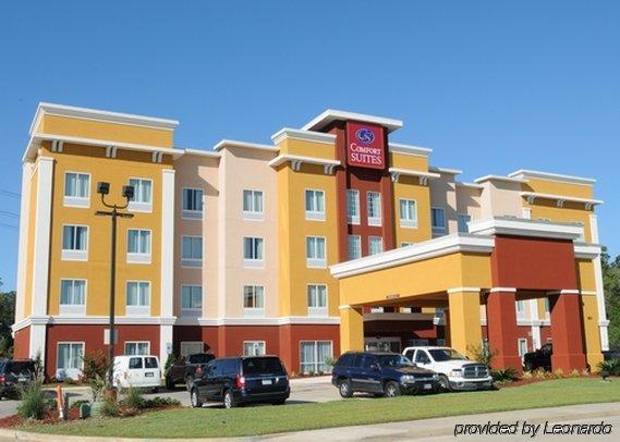 Comfort Suites Near Tanger Outlet Mall Gonzales Dış mekan fotoğraf